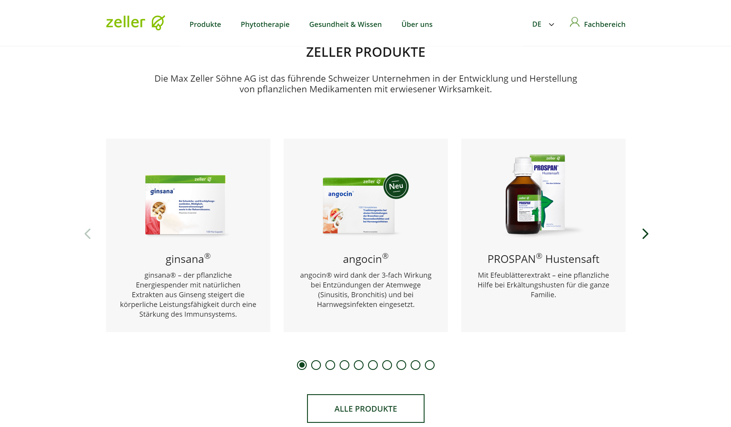 Max Zeller Ag Printscreen 2