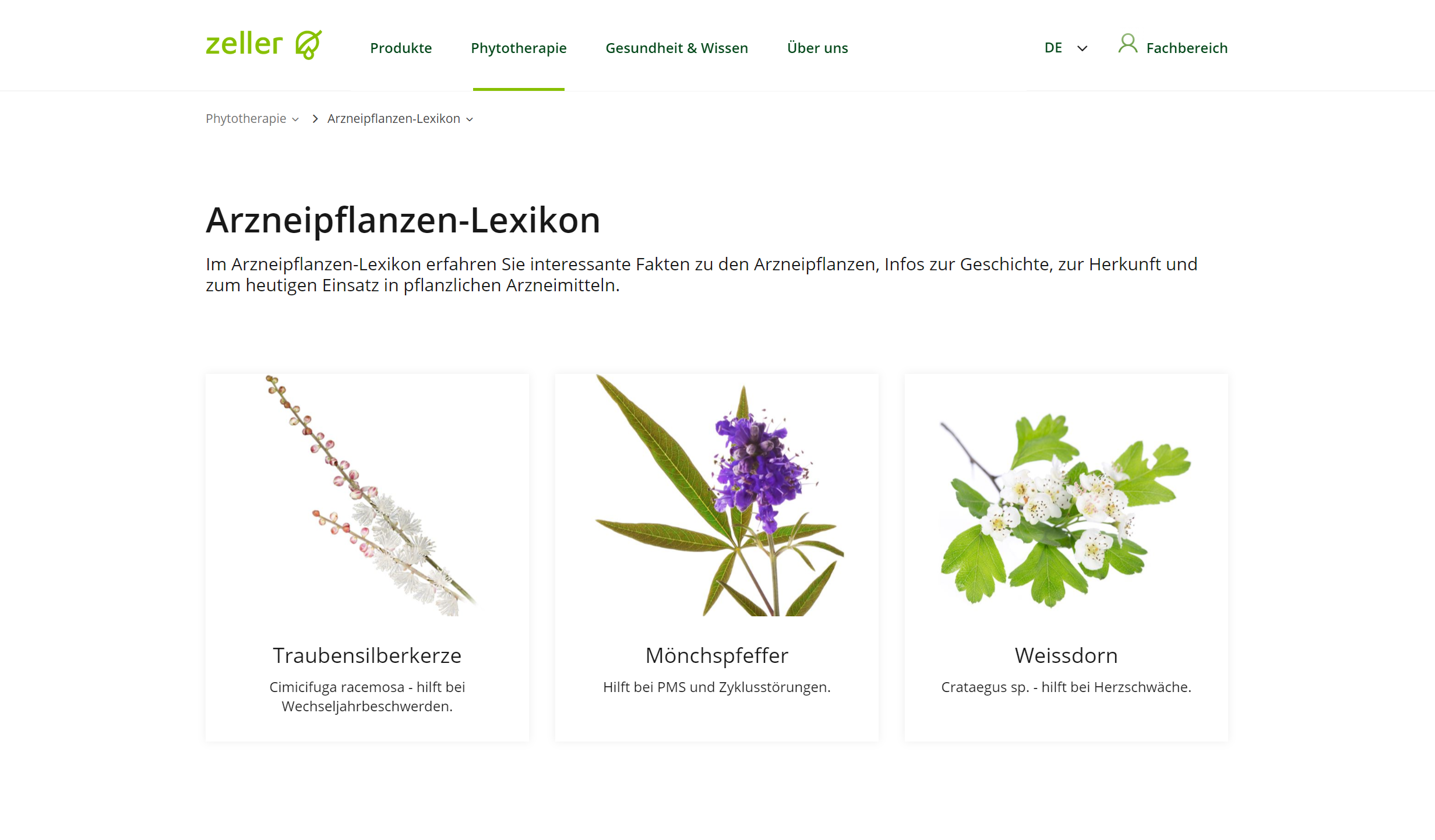 Max Zeller Ag Printscreen 6