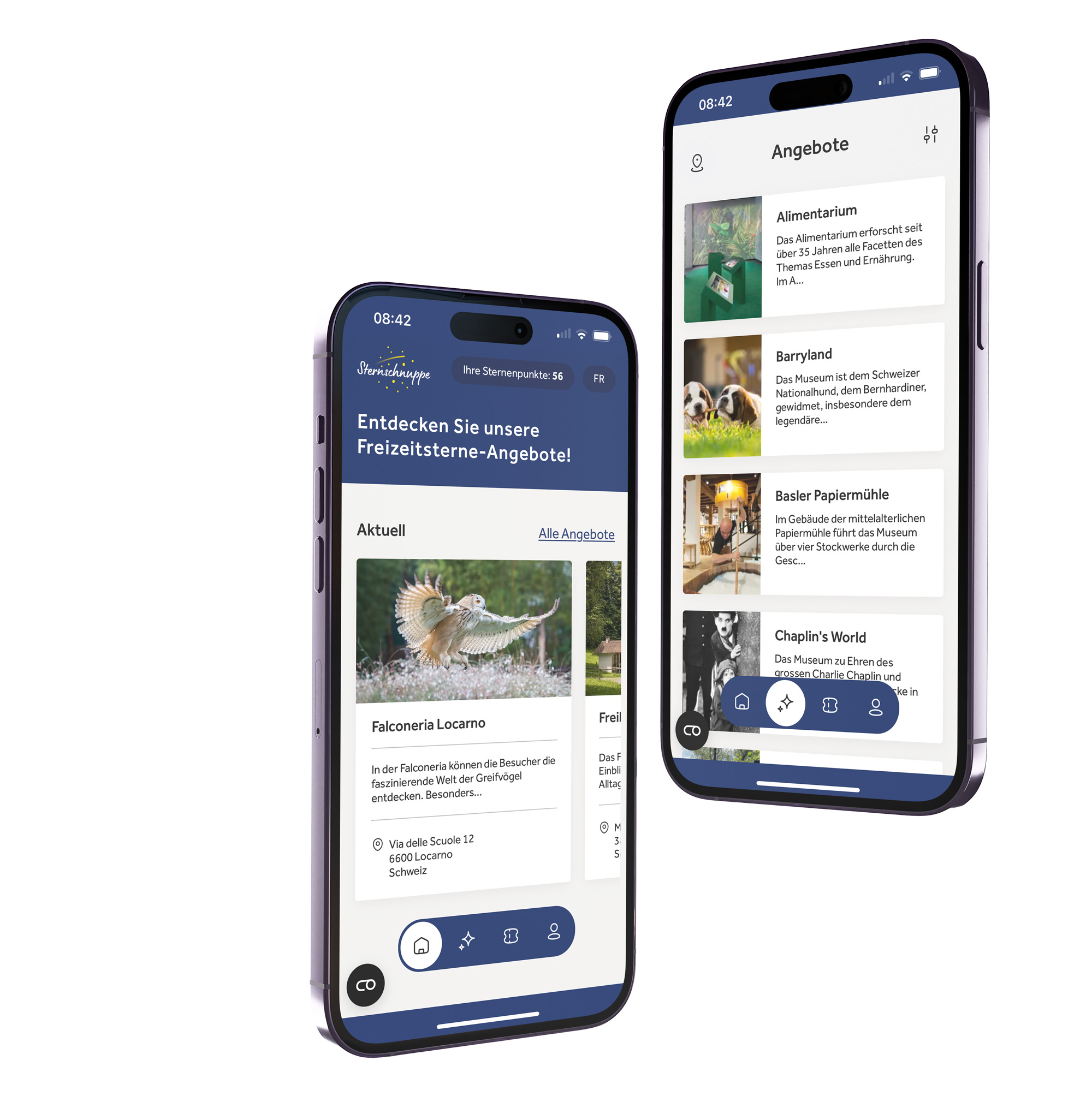 Sternschnuppe Angebot