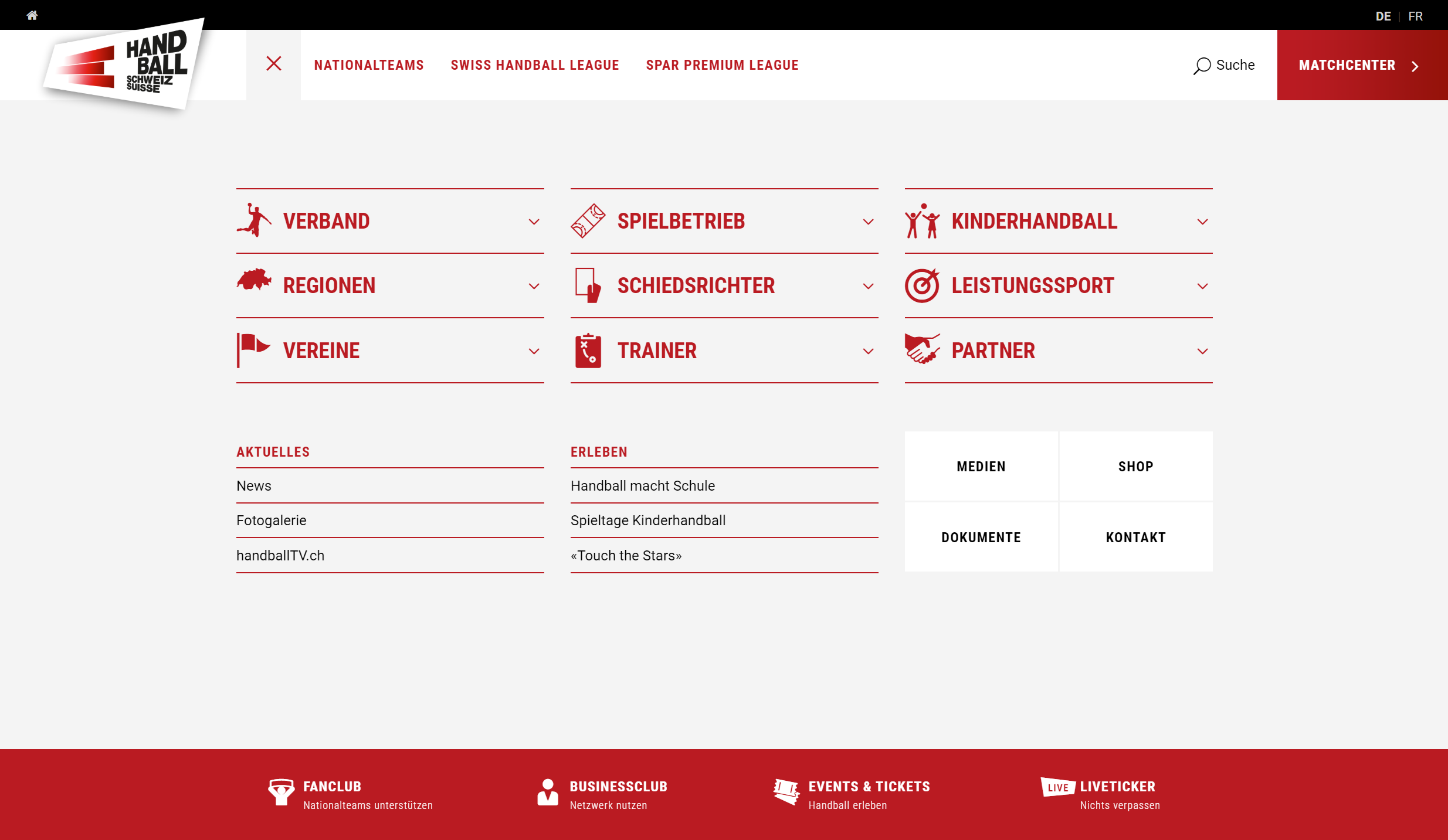 Handball Printscreen 4